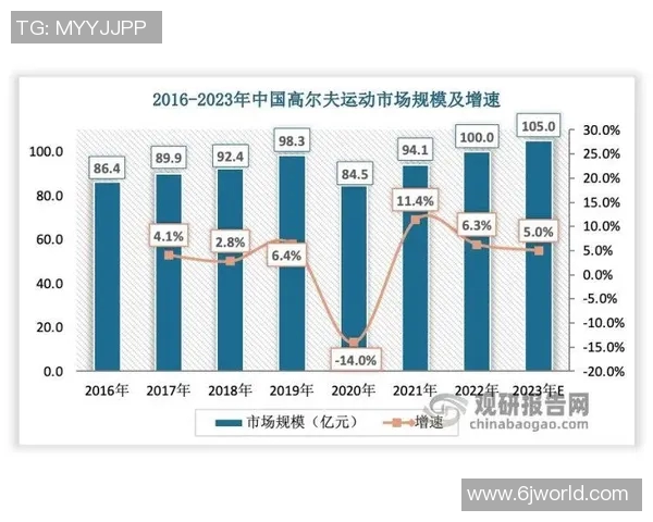 重庆羽毛球队的崛起与实力分析探讨羽毛球运动的未来发展方向